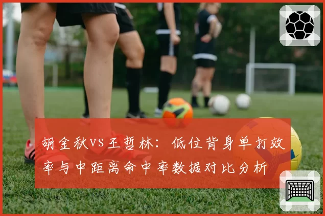 胡金秋vs王哲林：低位背身单打效率与中距离命中率数据对比分析