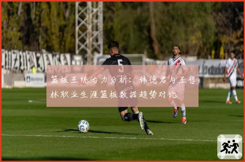篮板王统治力分析：韩德君与王哲林职业生涯篮板数据趋势对比