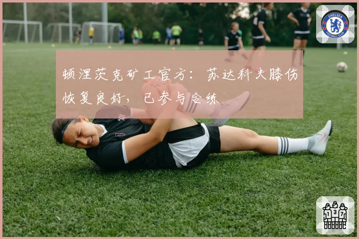 顿涅茨克矿工官方：苏达科夫膝伤恢复良好，已参与合练