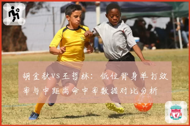 胡金秋vs王哲林：低位背身单打效率与中距离命中率数据对比分析